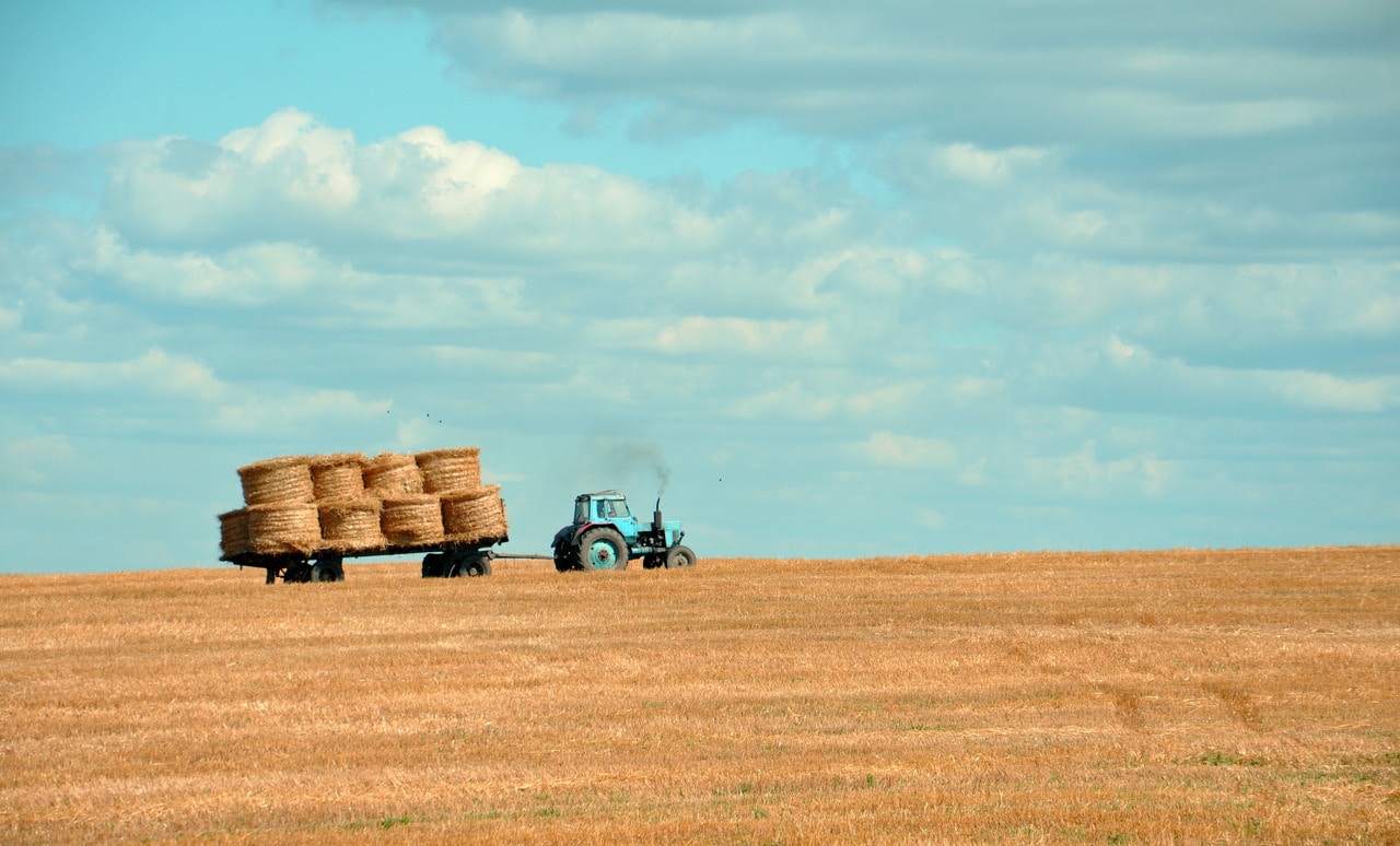 Abbotsford Farming: Harnessing the Potential of the Land